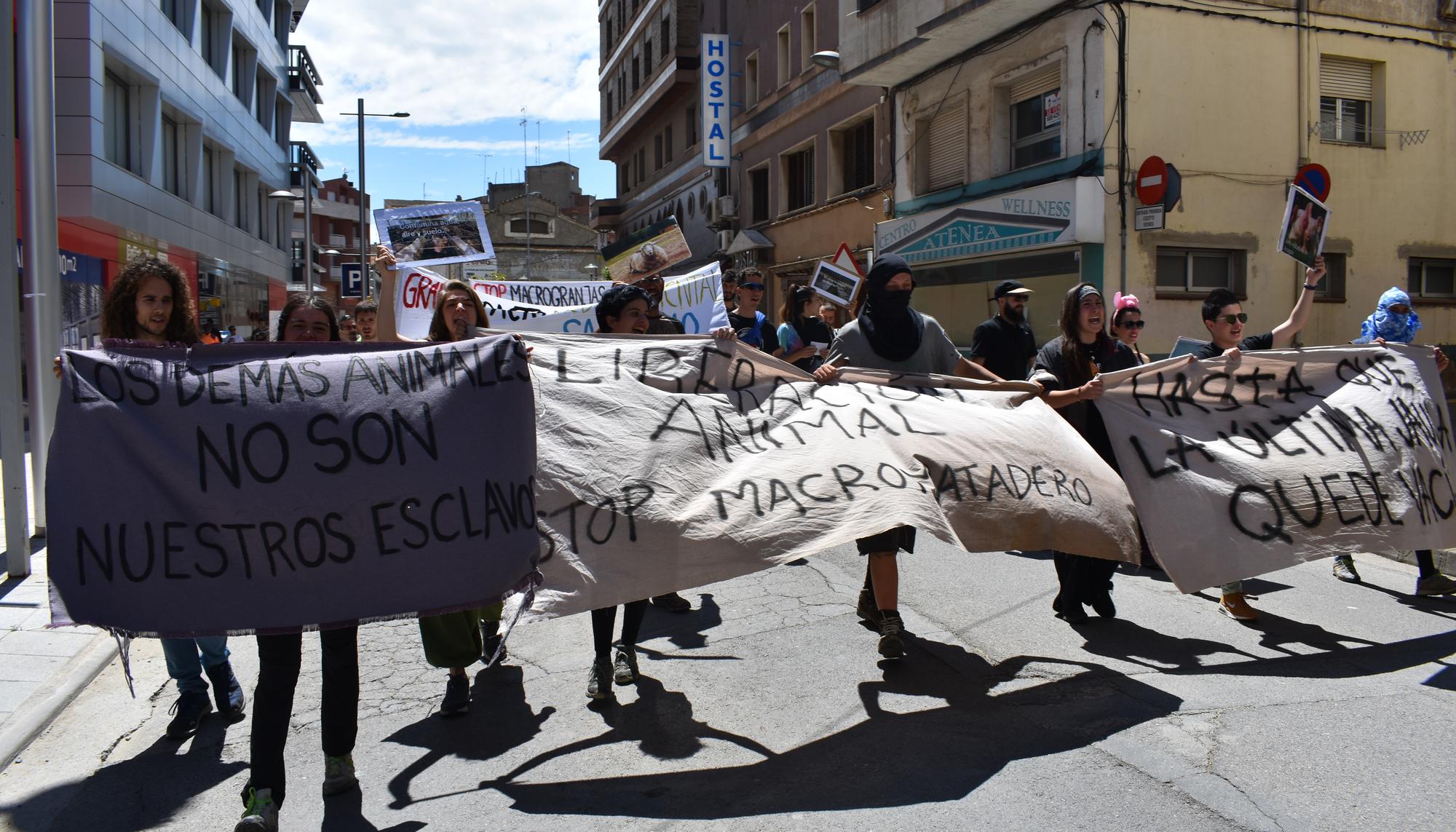 mayor matadero europa 1